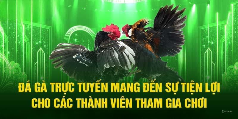 Đôi nét sơ lược về đá gà 69VN