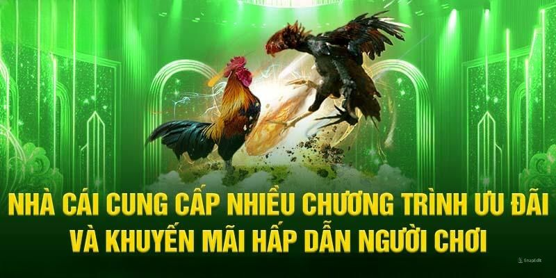 Hàng loạt khuyến mãi khủng đang chờ đón thành viên