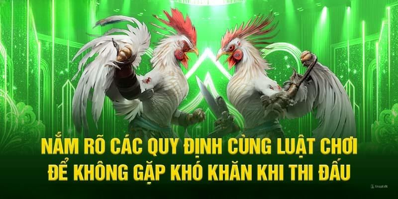 Nắm bắt rõ luật chơi để không gặp phải khó khăn khi đặt cược