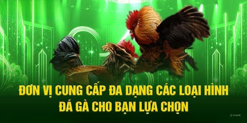 Sân chơi cung cấp phong phú các hình thức đấu chiến kê