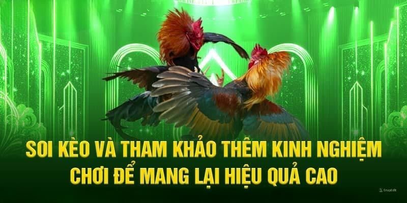 Soi kèo và tham khảo mẹo chơi để nâng cao tỷ lệ thắng cược