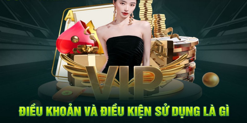 Giải thích điều khoản điều kiện 69VN là gì?