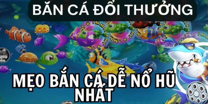 Khám phá kinh nghiệm bắn cá hay